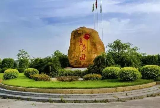 广州南沙冬天有番石榴摘吗,元旦广州摘番石榴