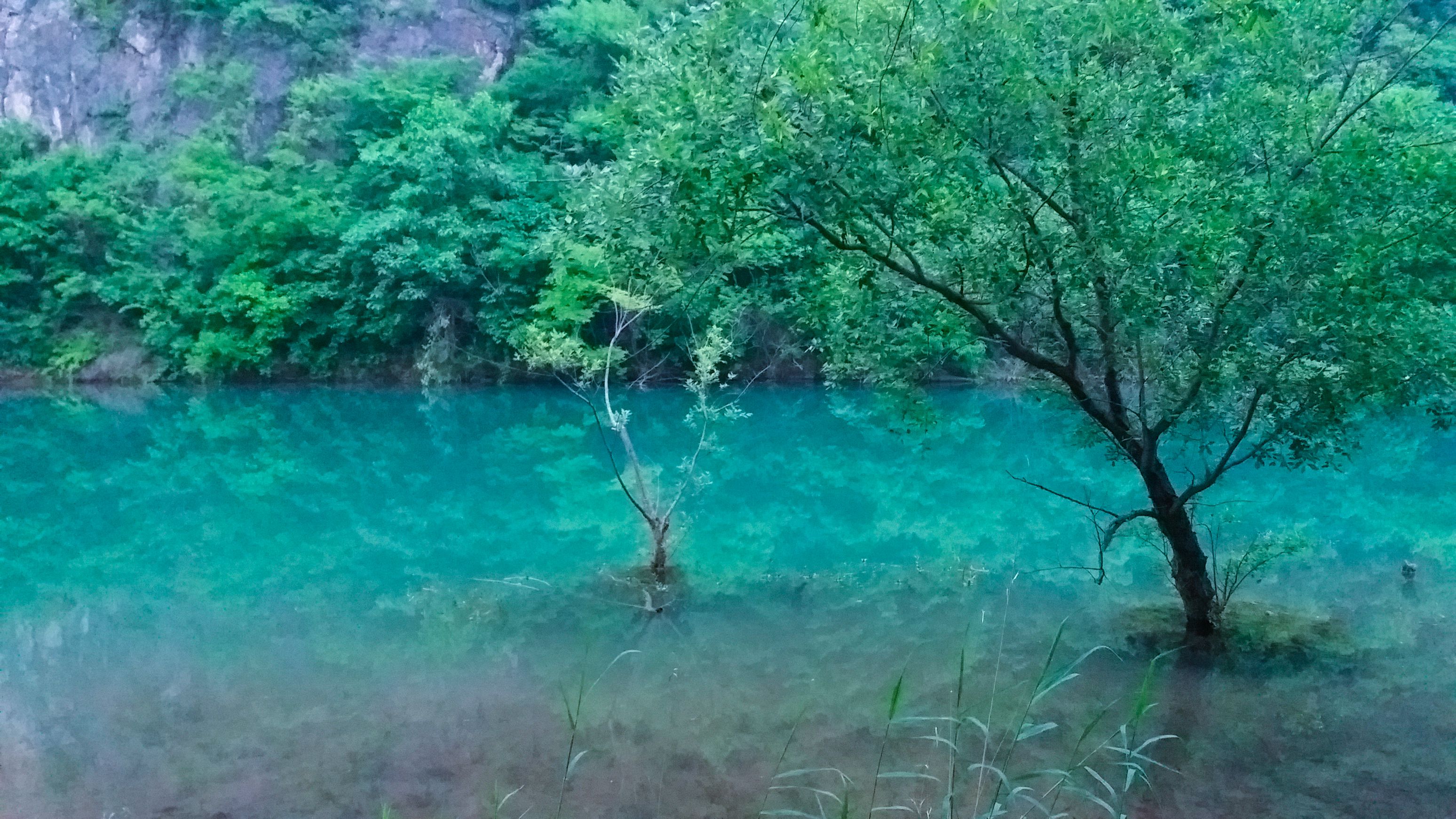 武汉周边避暑景点推荐,武汉夏天避暑旅游攻略