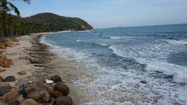 一个人的旅行由风决定,一个人的旅行头像