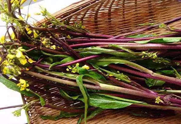 湖北42个示范村名单,湖北省重磅村名单