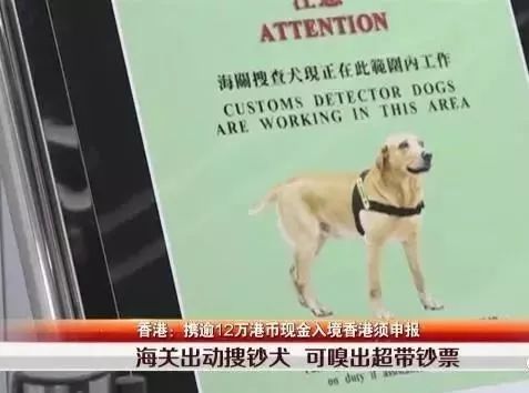 内地入境香港通关最新通告,香港逗留超过7天会罚款多少