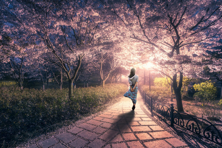 青岛是一个怎么样的地方,青岛是一座什么样的城市