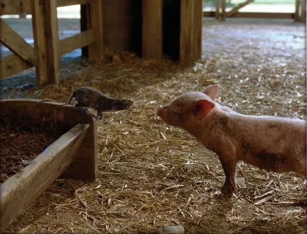 暑假一定要给孩子看这6部电影,暑假必须给孩子看的八个电视