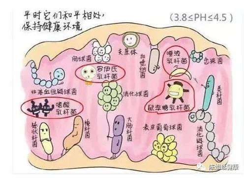 那些难以启齿的柔弱——肛门瘙痒