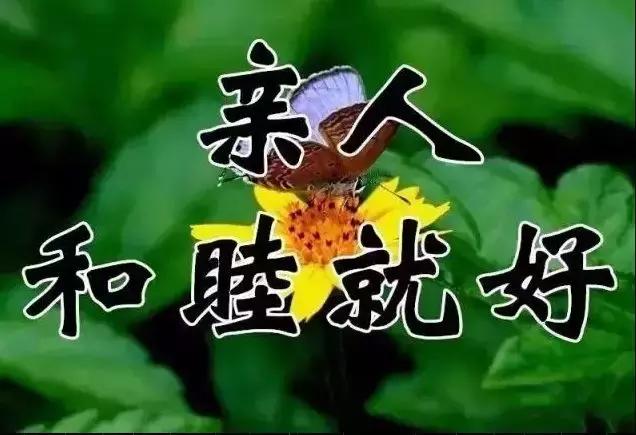 祝你天天快乐早上好图片,祝大家早上好天天有个好心情