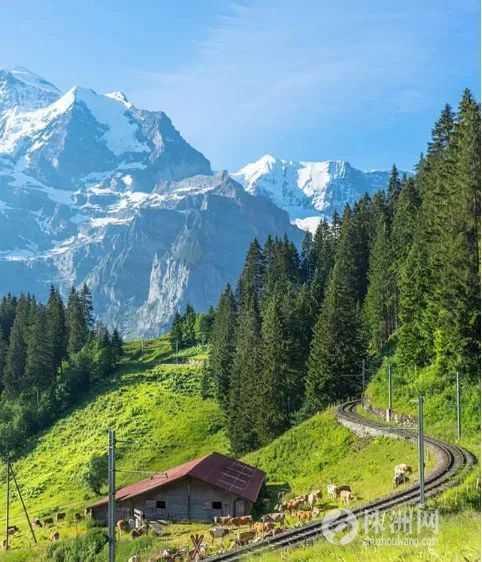 游客因为拍照而被罚款？这个国家景色到底有多美，才敢这么傲娇……