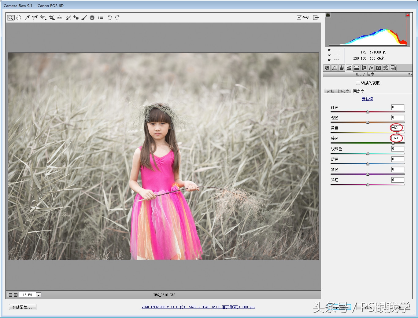 camera照片调色教程,如何用PS2018调整照片色彩