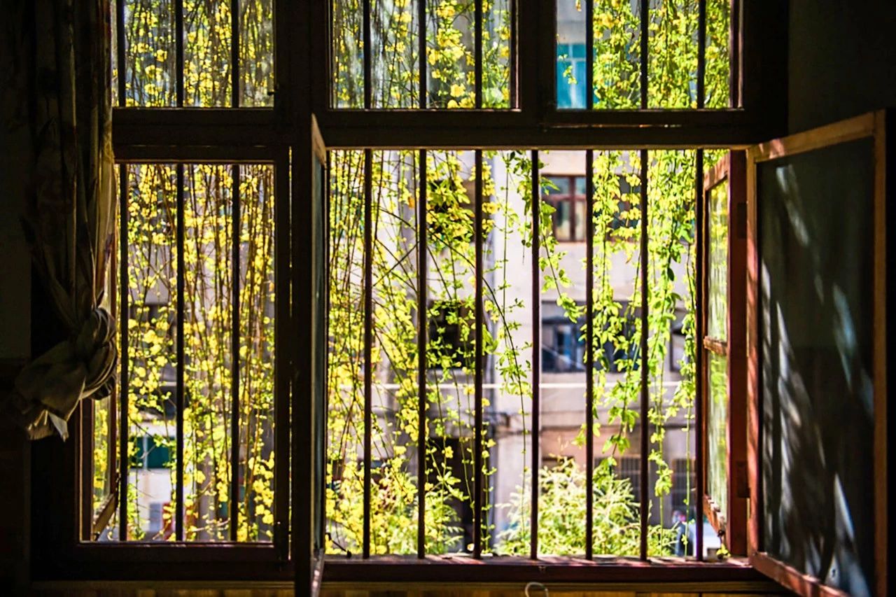 北漂25年买不起房,北漂20年买不起房