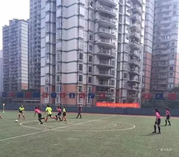 2022年重庆小学划片区,重庆主城近300所小学划片范围