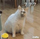 广东人去香港注意了！下周起过关这样做，最高罚款50万！