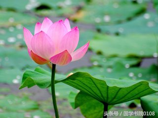 100句感悟人生经典励志真言,四字箴言励志厚积薄发