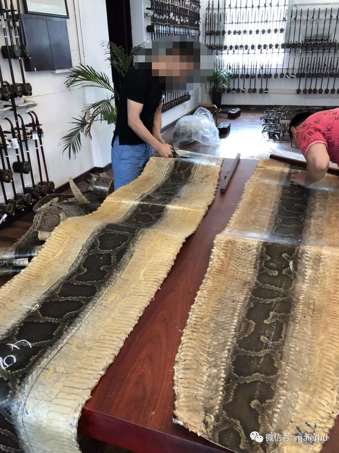 购买二胡怎样挑选,购买二胡