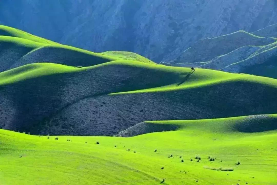 手机摄影人像摄影作品欣赏,手机摄影最顶级的极简作品照片