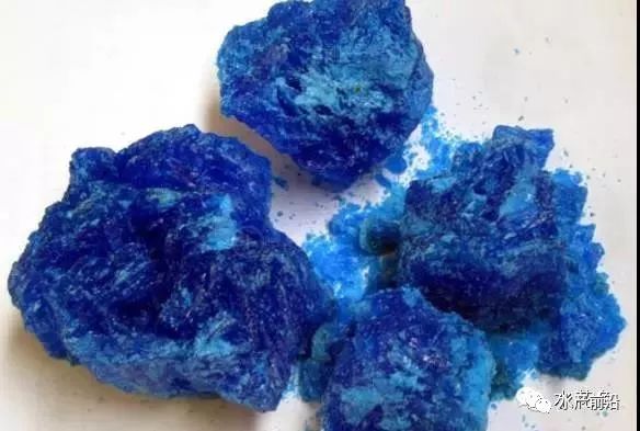 鱼类敏感的24种药,鱼类链球菌敏感药物