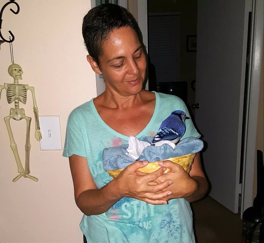 万物皆有灵救了蛇王一命,万物皆有灵救了一只狼崽