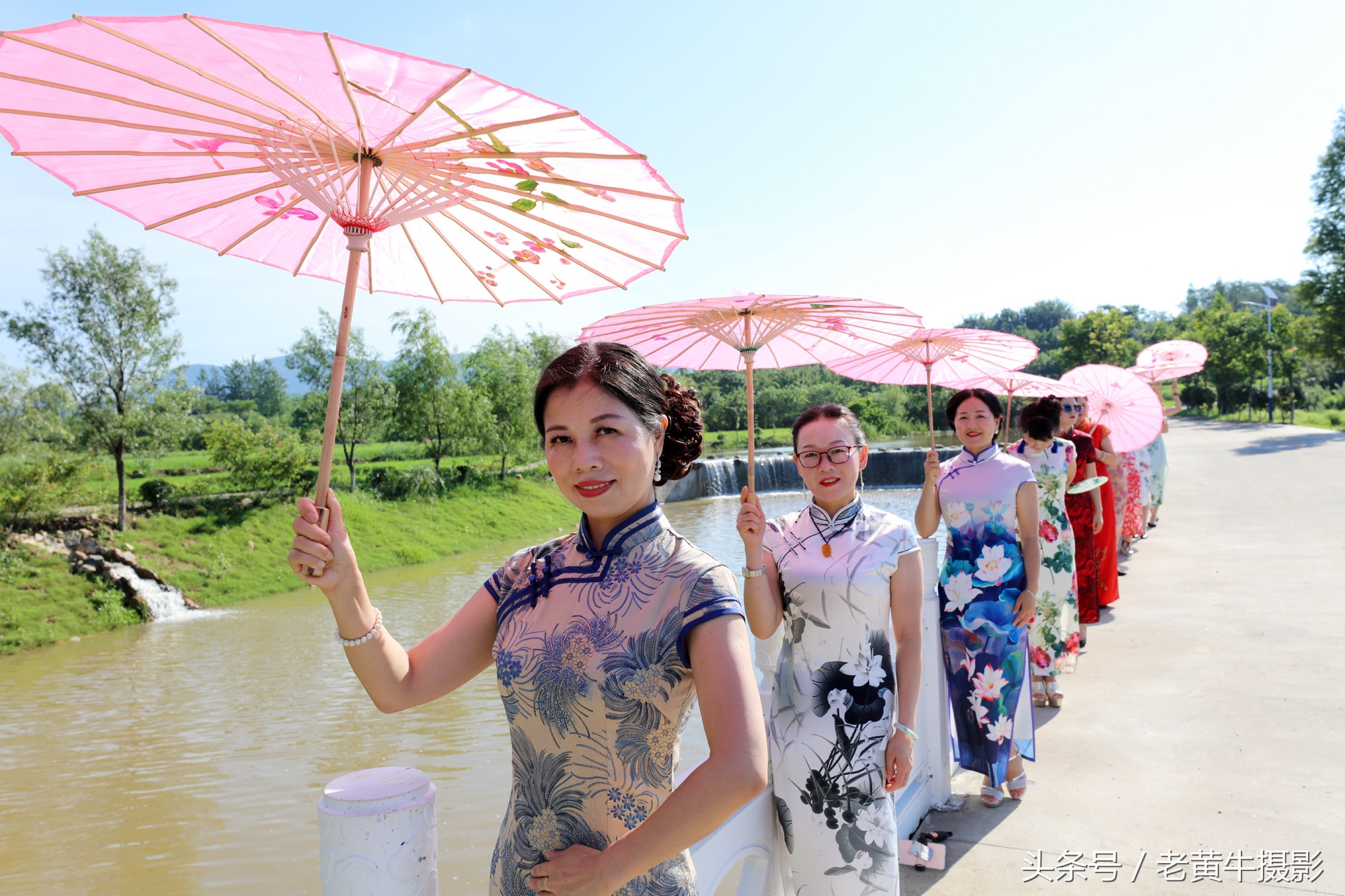 京山老年旗袍秀视频,月季园旗袍走秀