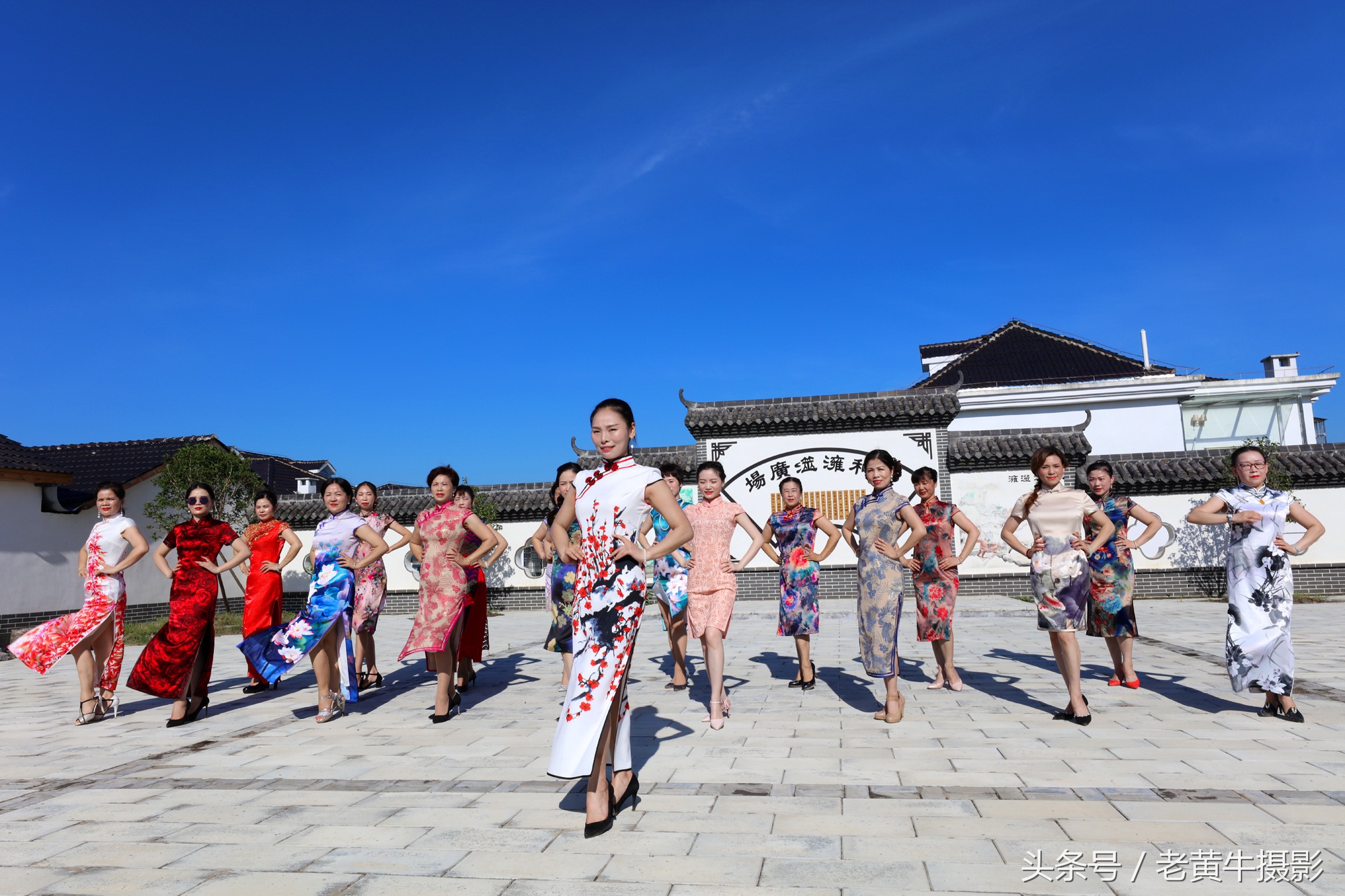 京山老年旗袍秀视频,月季园旗袍走秀