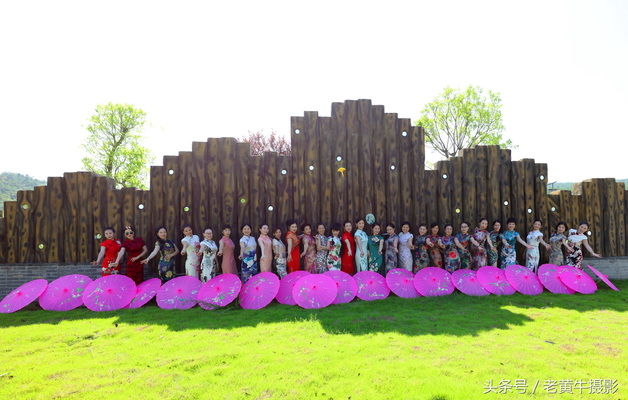 京山老年旗袍秀视频,月季园旗袍走秀