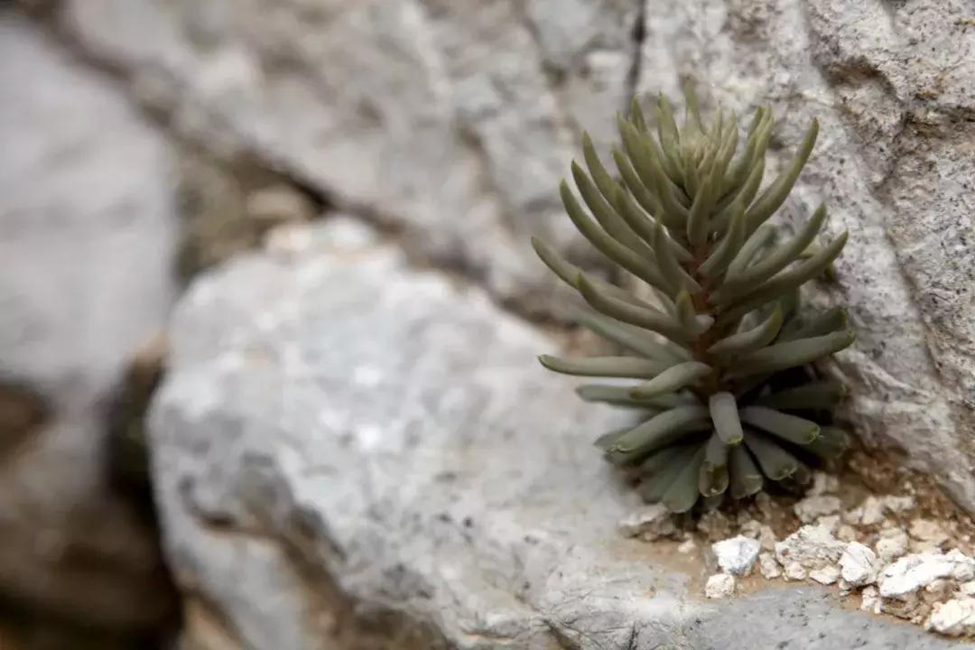 井陉这个村不输于家石头村，去了你就不想走！