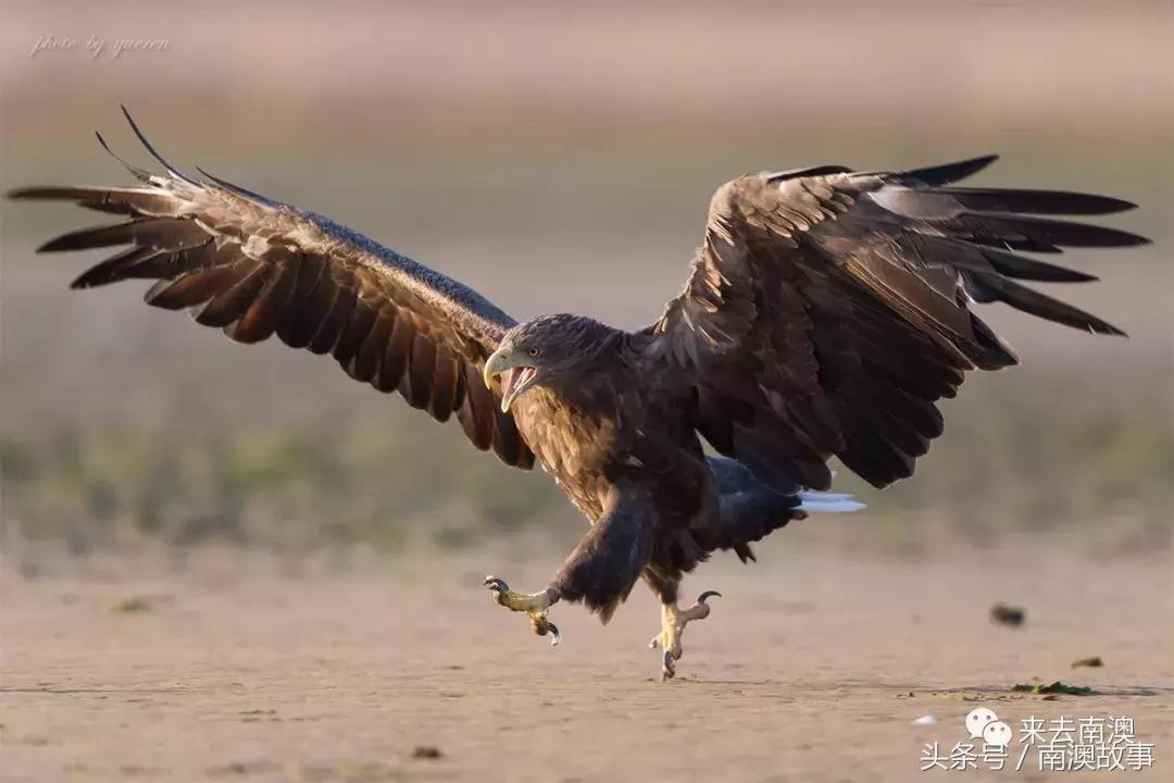这座小岛究竟隐藏了多少秘密,一座鲜为人知的隐藏小岛
