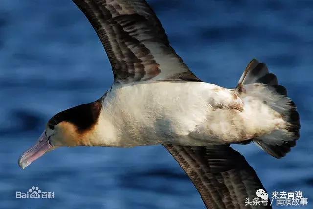 这座小岛究竟隐藏了多少秘密,一座鲜为人知的隐藏小岛