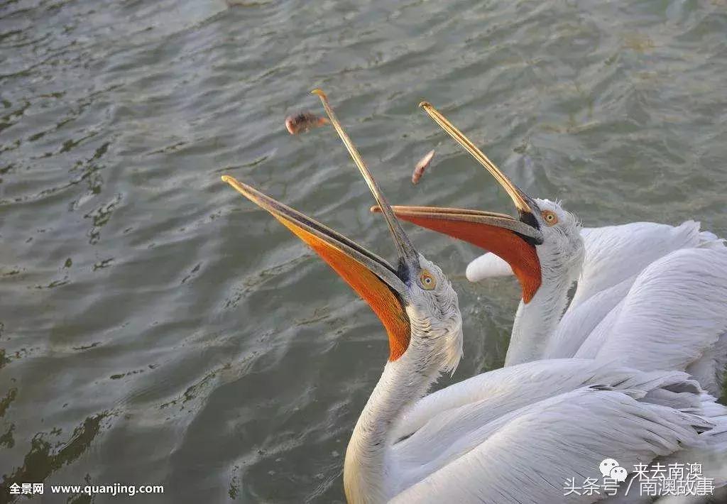 这座小岛究竟隐藏了多少秘密,一座鲜为人知的隐藏小岛