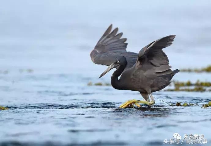 这座小岛究竟隐藏了多少秘密,一座鲜为人知的隐藏小岛