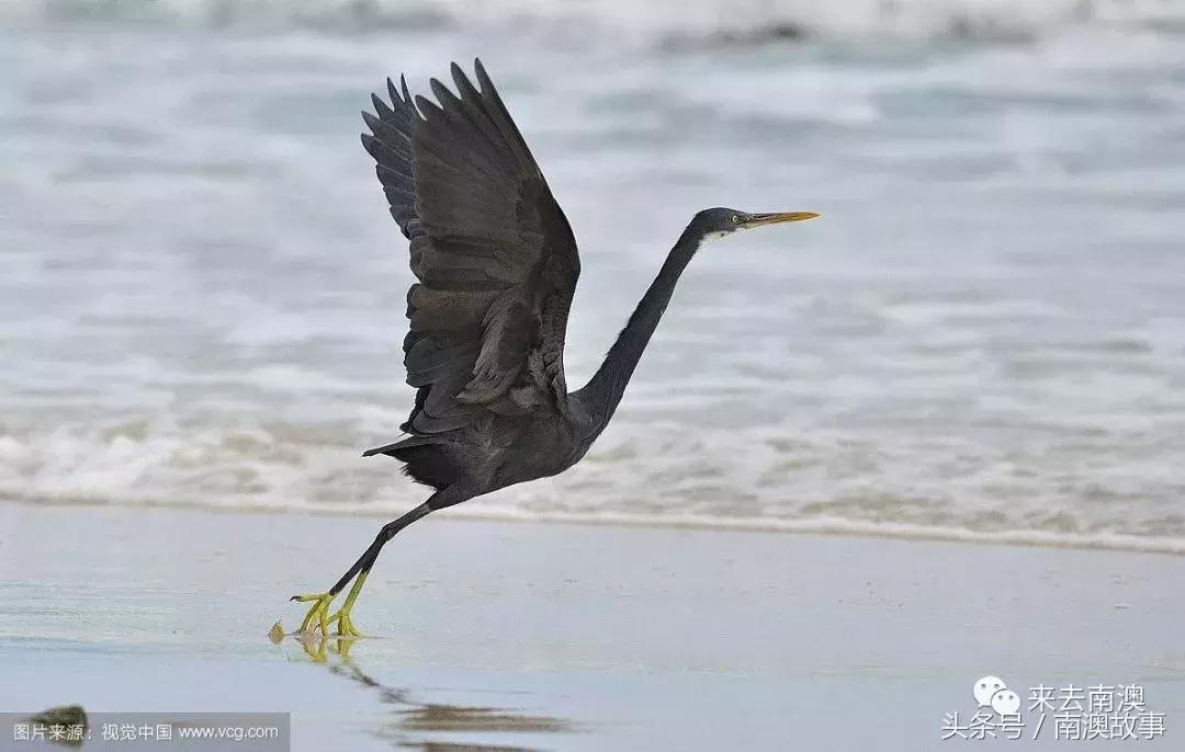 这座小岛究竟隐藏了多少秘密,一座鲜为人知的隐藏小岛