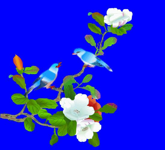 容易读错的字不带正确的读音,日常读错了的字的正确读音