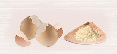 家里有蚂蚁怎么办如何快速除蚁,厨房和卫生间有蚂蚁是怎么回事