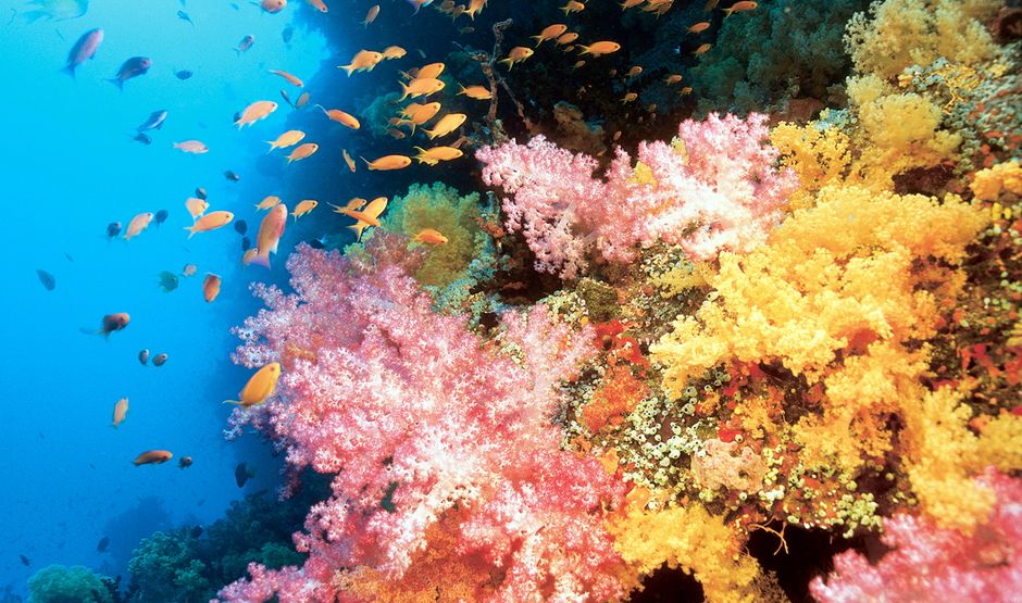 这个美丽的群岛国家,1/5的出口产品为天然纯净水