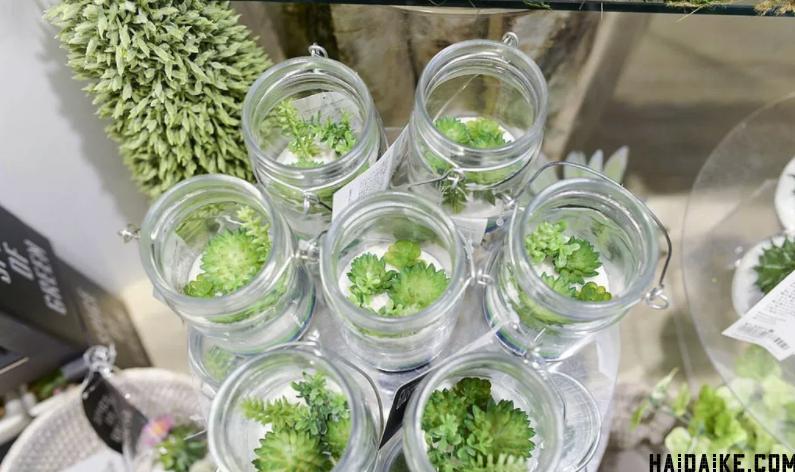 francfranc鏃ユ湰涓滀含搴楅摵,鏃ユ湰绂忓唸chiikawa鍦ㄥ摢閲屼拱