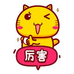 真想不到,原来你是洪江人!