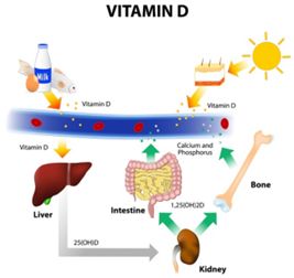 维生素d一次吃多了怎么办,维生素d吃多了要紧吗