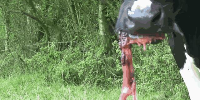 老外学中国人吃西餐,外国人学中国人吃糖