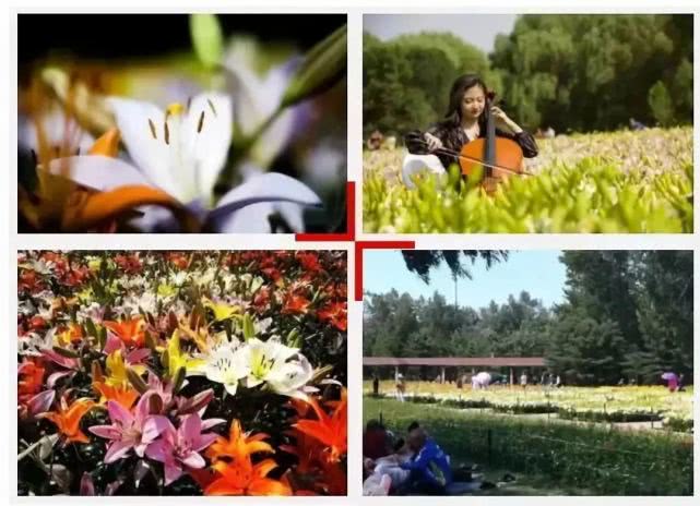 沈阳免费公园适合孩子玩,沈阳免费公园儿童乐园