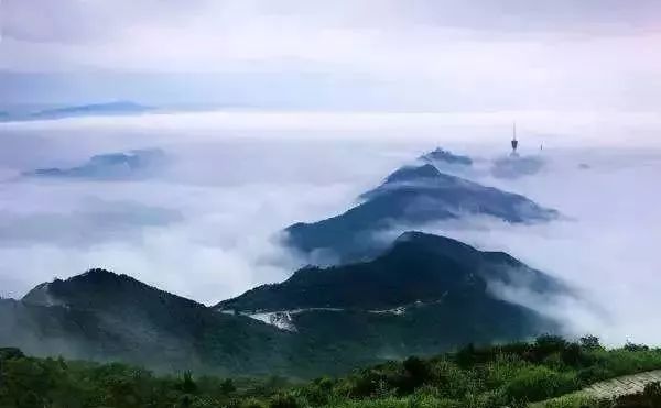 深圳免费景区一览表,深圳国际艺术博览会免费门票