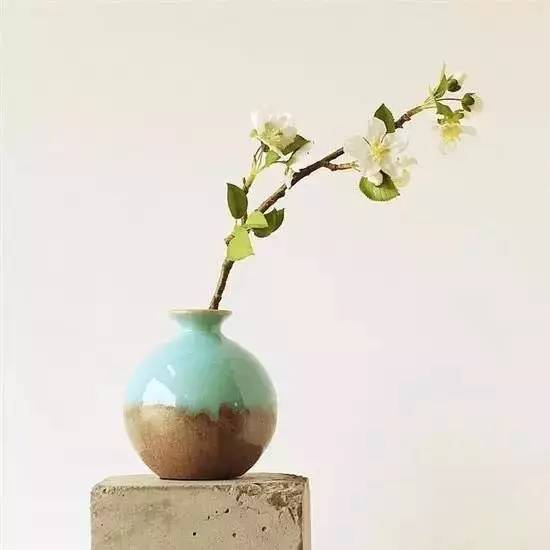 惜命的最好方式竟然不是养生,惜命最好的方式不是养生而是管理