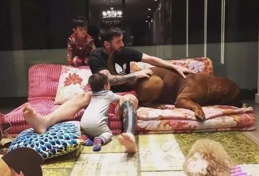 足球巨星最大的豪宅,别墅装修分享视频