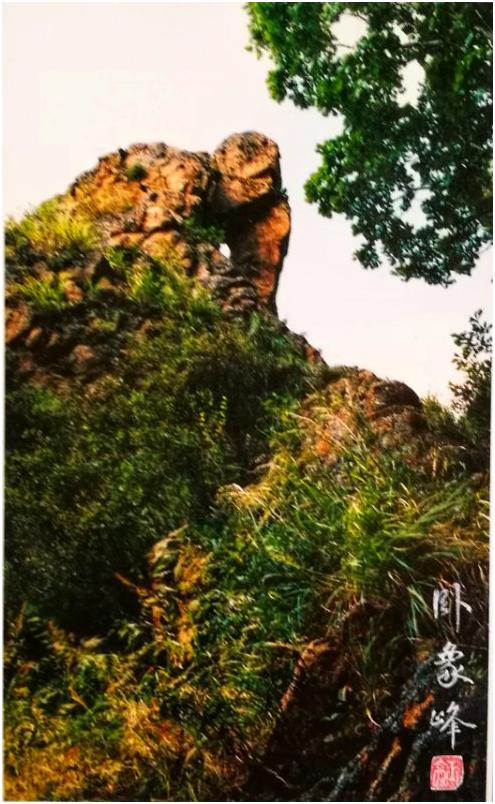 百首诗赞拉法山,百首诗作