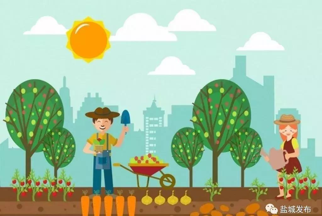 盐城这些镇村成为全国“示范”！特产品牌各不相同，你都了解吗？