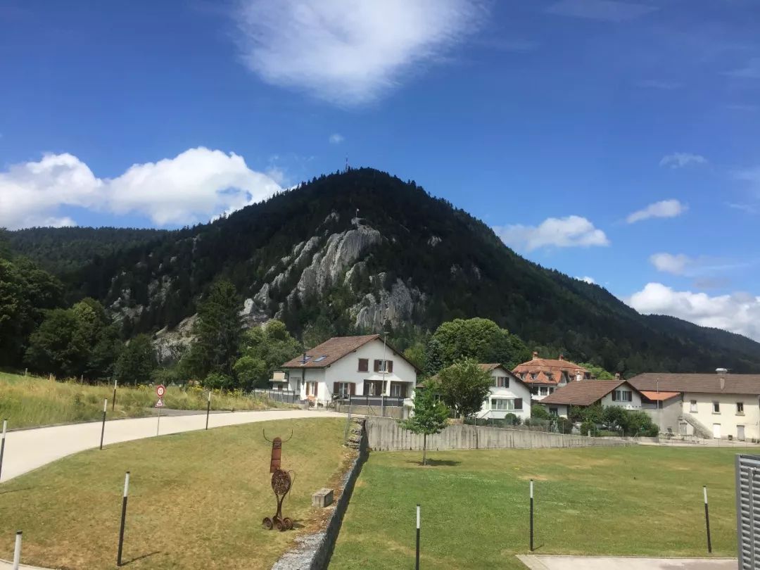 损坏5%的手表，才能获得一个认证，帕玛强尼为什么这么任性？