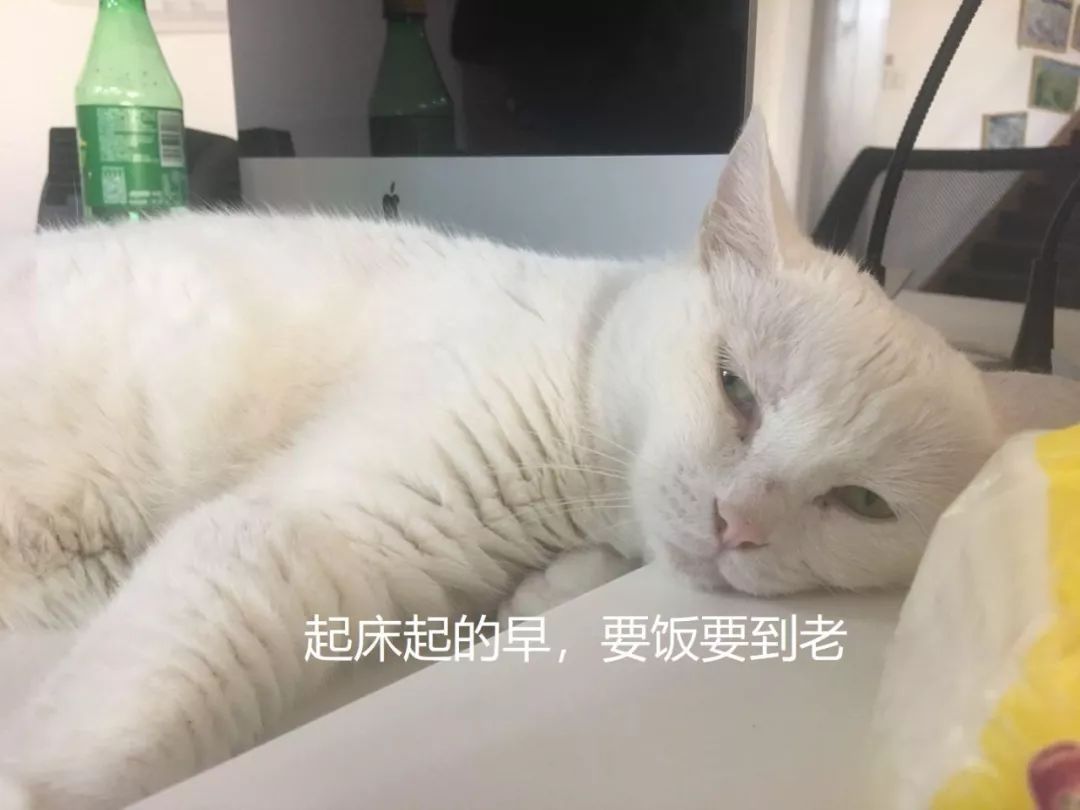 这些装逼套路，至少90%的雪友都见过！