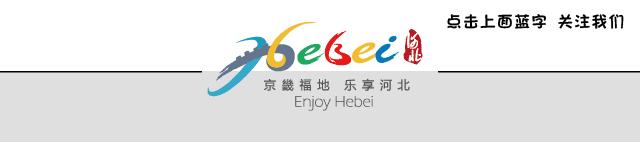 北方最大的银杏林在哪里,中国最大面积的银杏树林在哪里