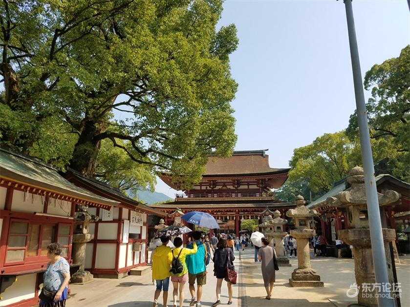 皇家加勒比游轮量子号游记,坐海洋量子号游轮旅游攻略