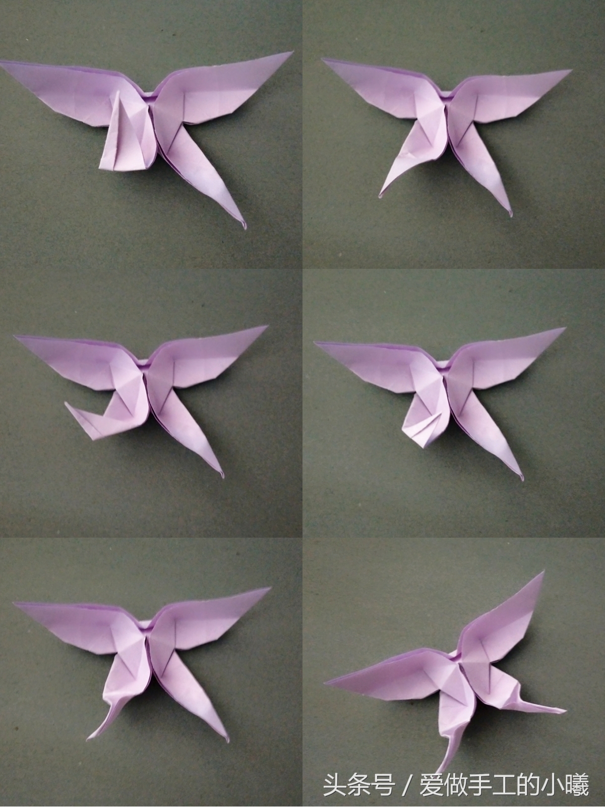 折纸蝴蝶折纸小鸡,折纸王子折纸蝴蝶