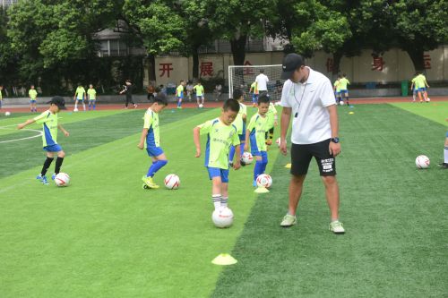 篮球足球羽毛球乒乓球游泳培训,篮球足球羽毛球排球培训