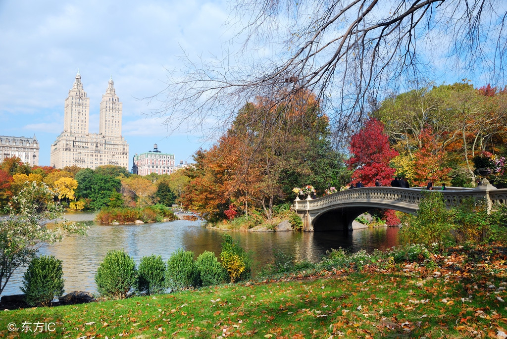 俄罗斯云杉木优缺点,俄罗斯的十大失误