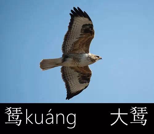 带你认识几个主播,带你认识几种常见的野菜