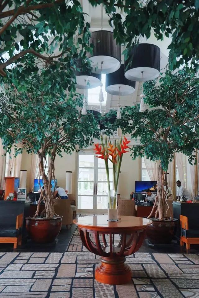 40℃来袭前，这几个海边目的地已加入了我的收藏夹